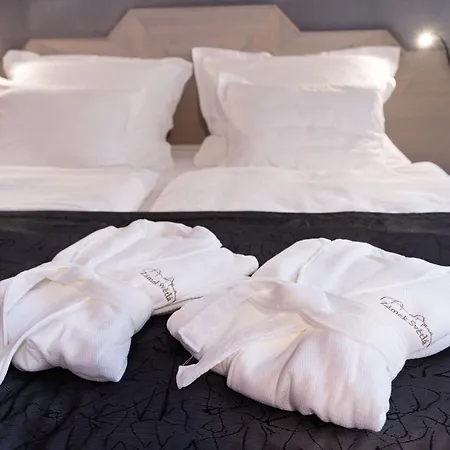 Zamek Hotel *